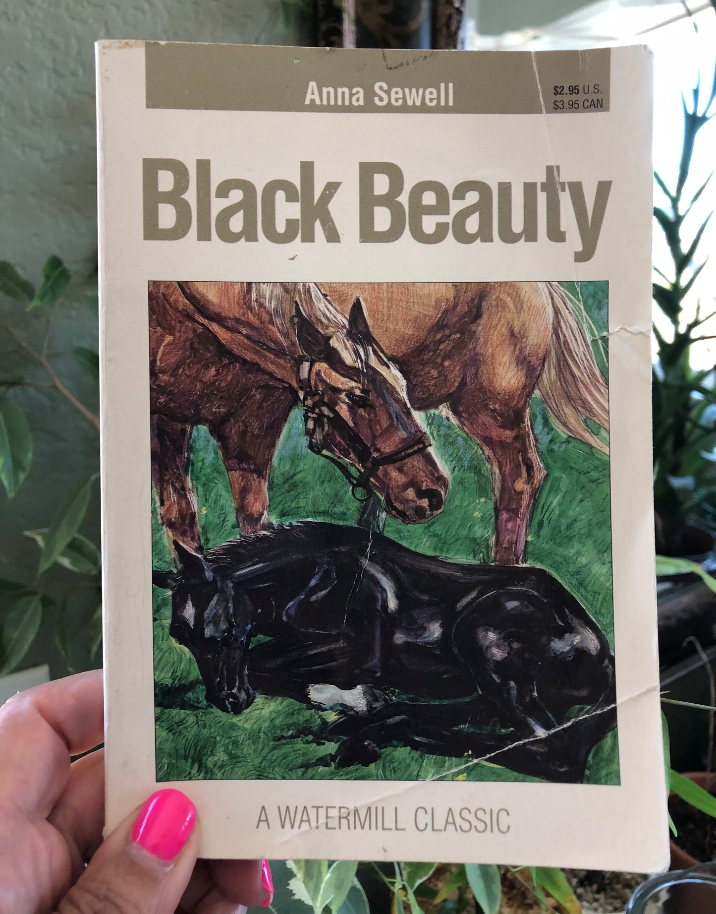 Black Beauty by Anna Sewell