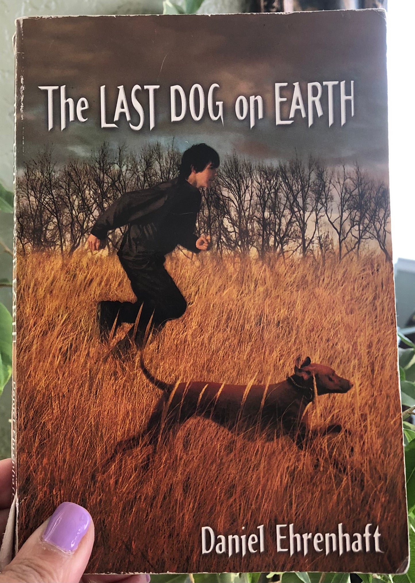 The Last Dog on Earth by Daniel Ehrenhaft