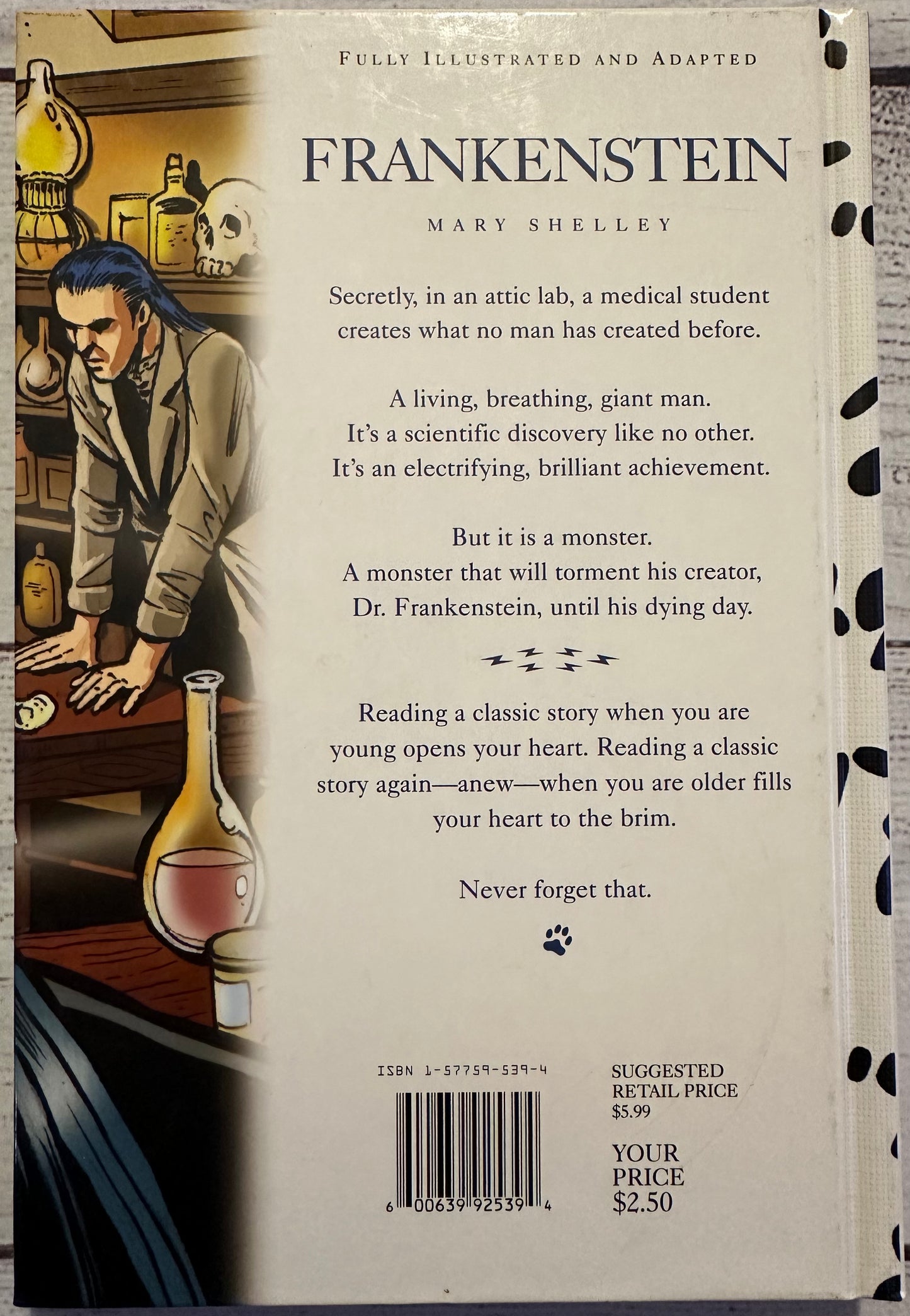 Frankenstein by Mary Shelley