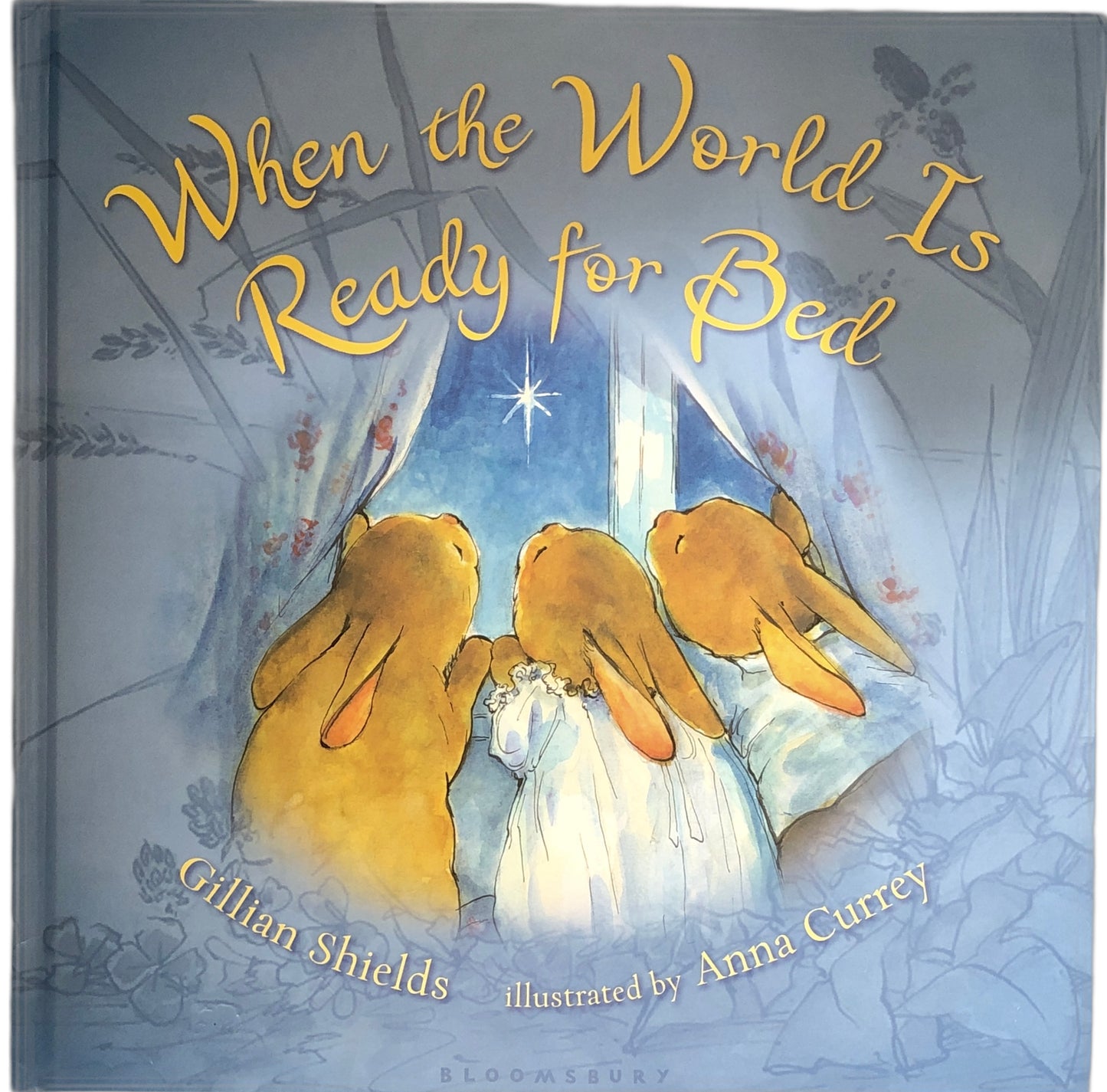 When the World is Ready for Bed by Gillian Shields