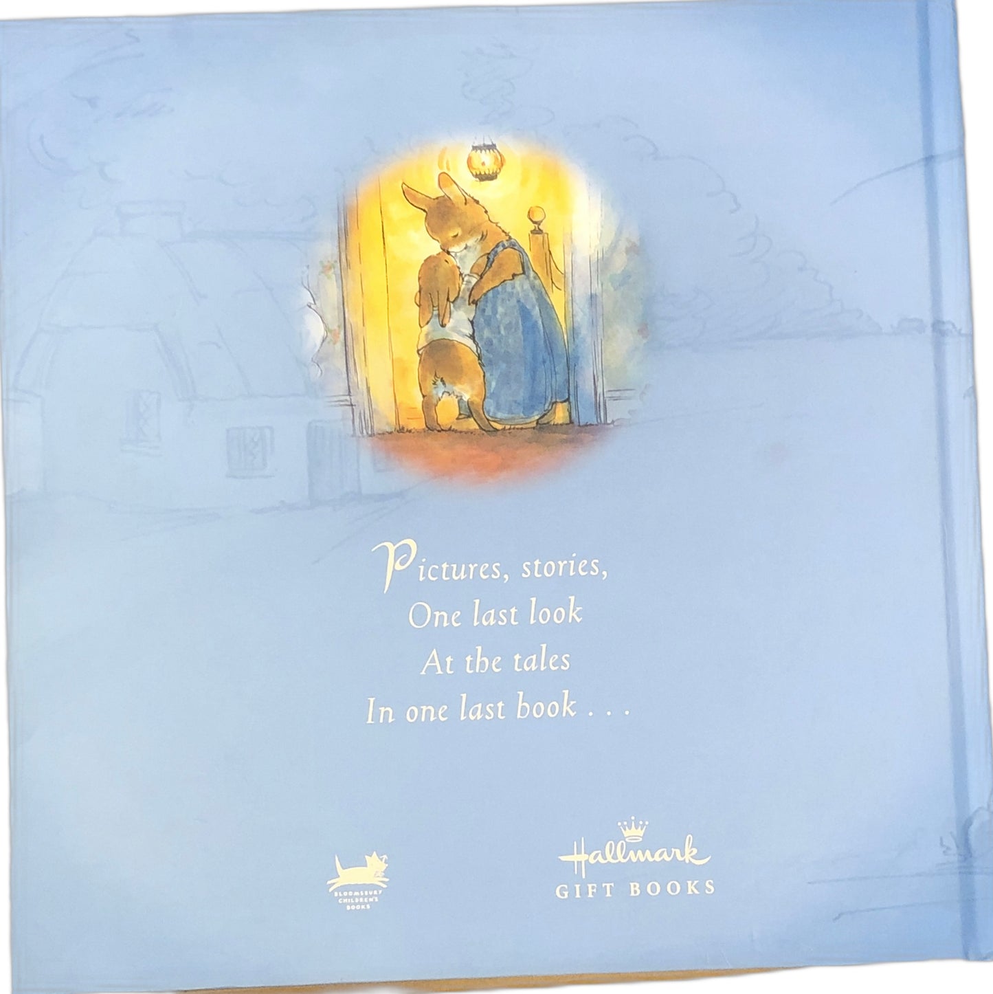 When the World is Ready for Bed by Gillian Shields