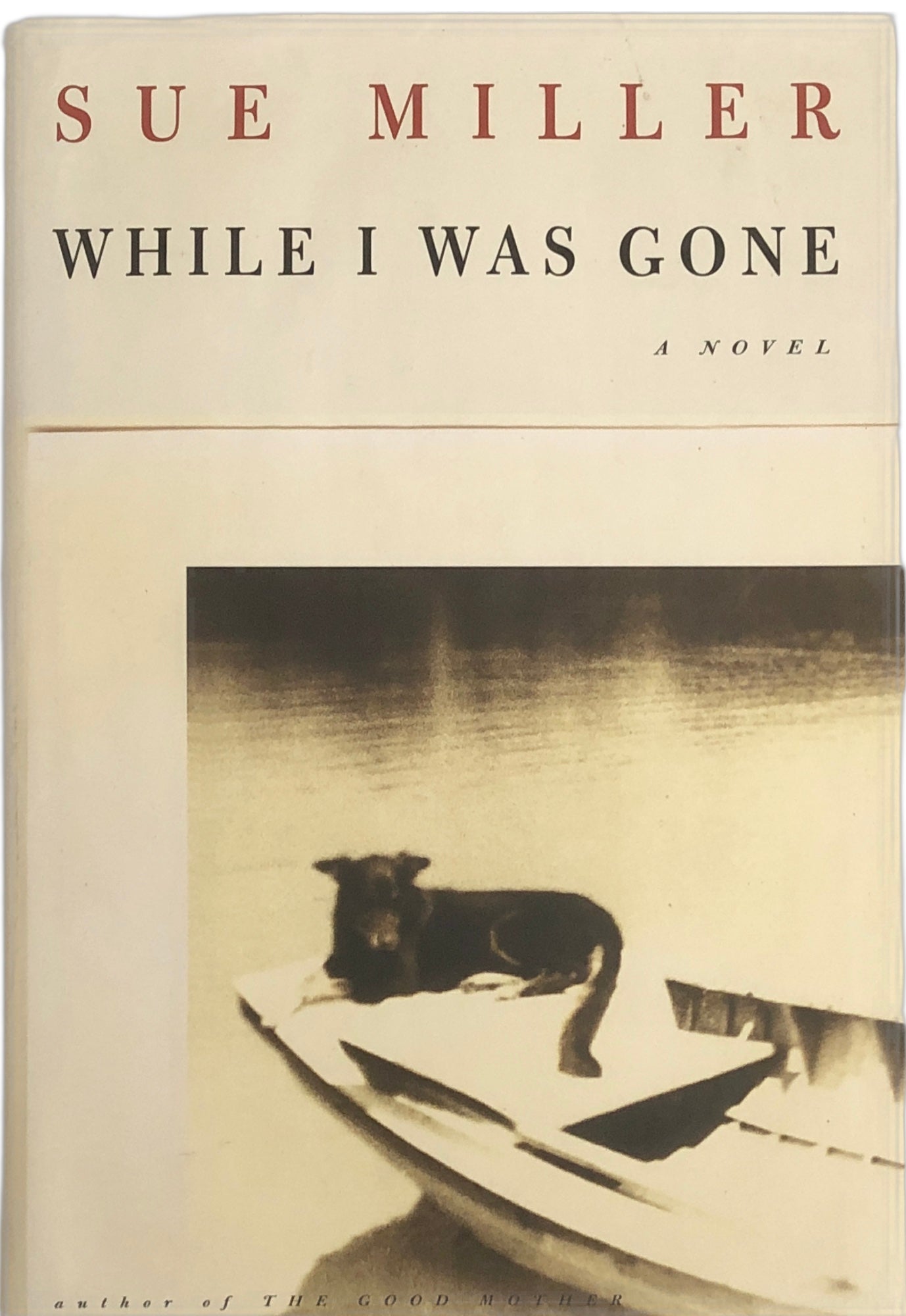 While I Was Gone by Sue Miller