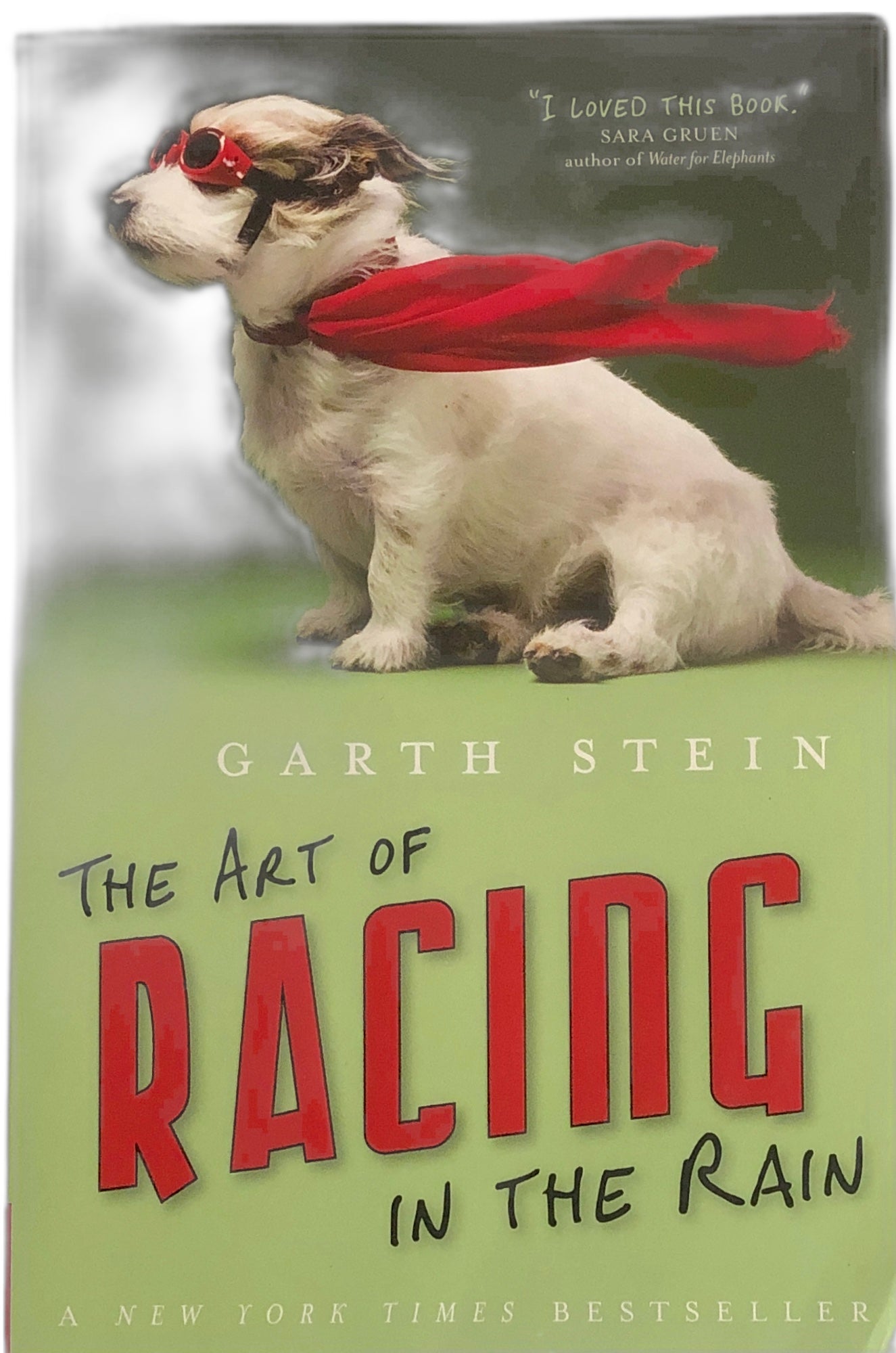 The Art of Racing in the Rain by Garth Stein