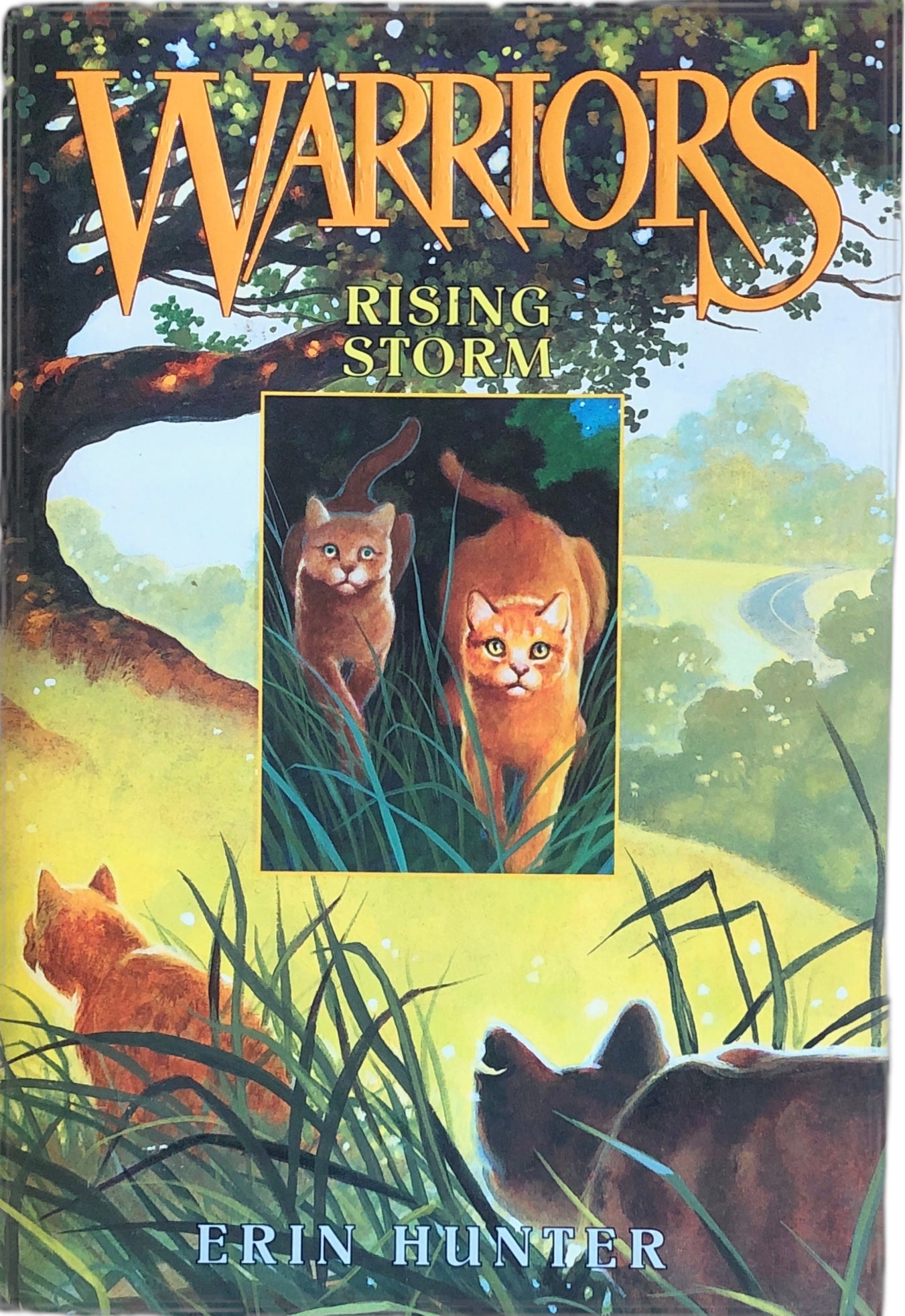 Warriors: Rising Storm (The Prophecies Begin Book #4) by Erin Hunter
