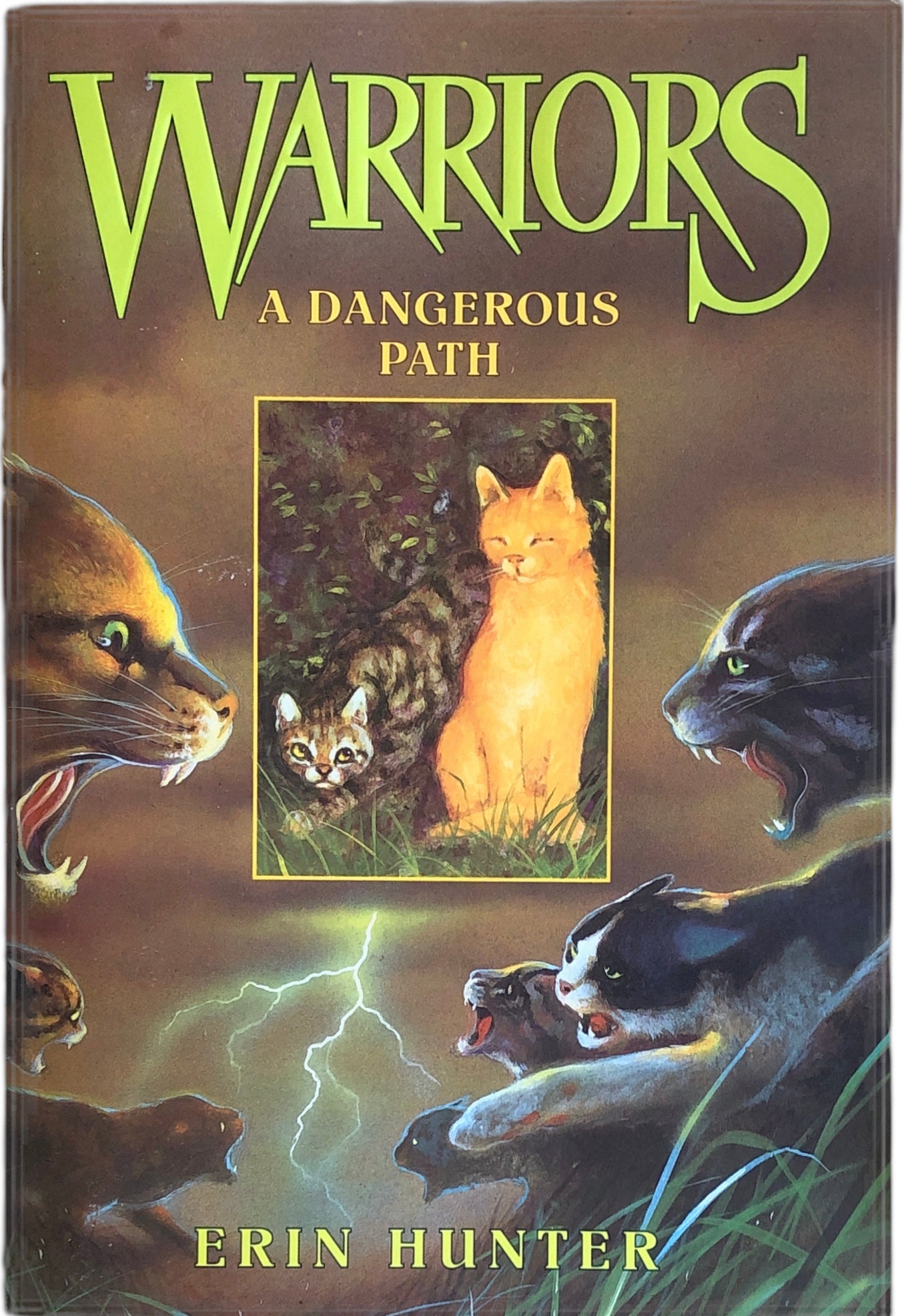 Warrior Cats Series 1: The Prophecies Begin - 6 Books Collection Set By  Erin Hunter