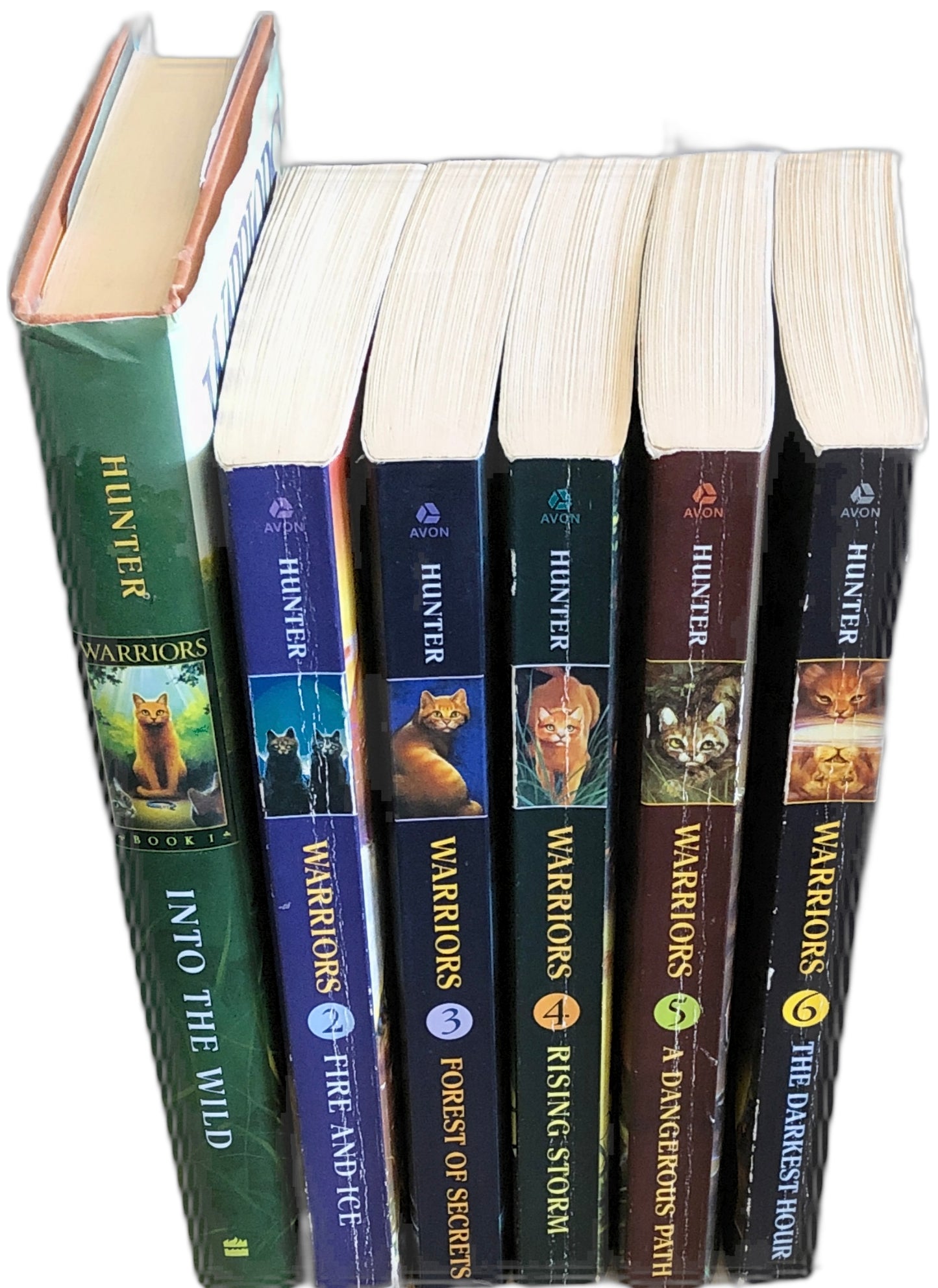 Warriors: Rising Storm (The Prophecies Begin Book #4) by Erin Hunter