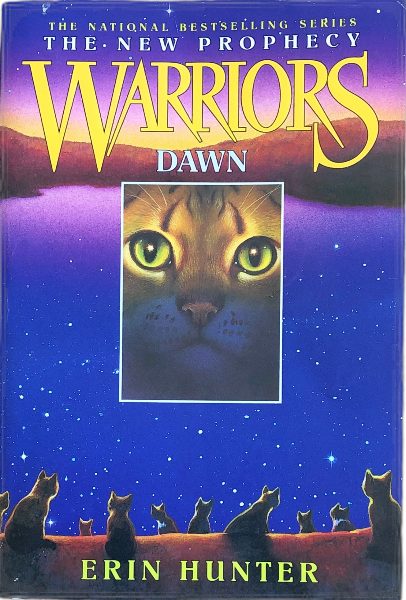 Warriors Dawn The New Prophecy Book 3 By Erin Hunter Nerdnookbooks