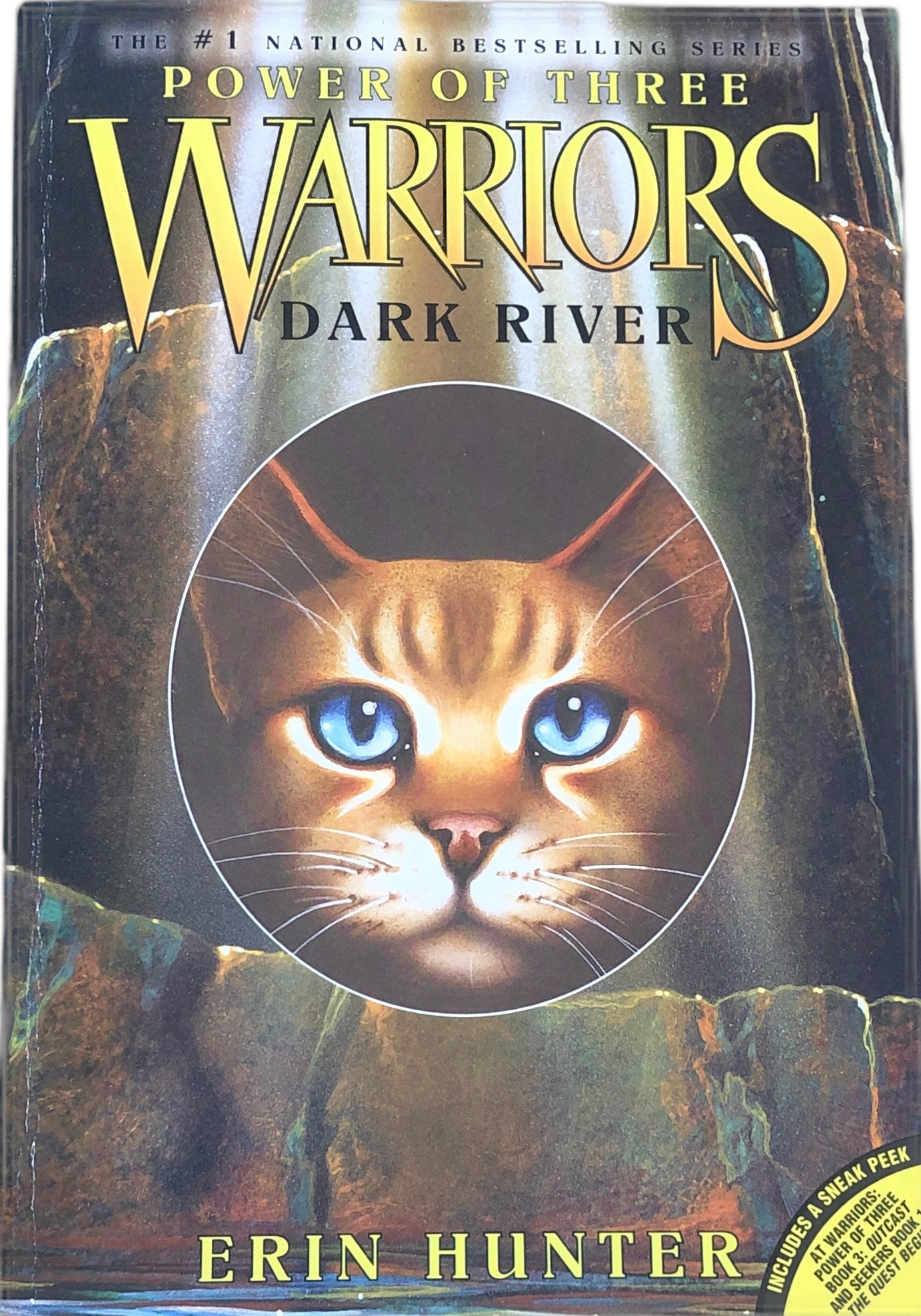 Warriors Power Of Three Outcast Book
