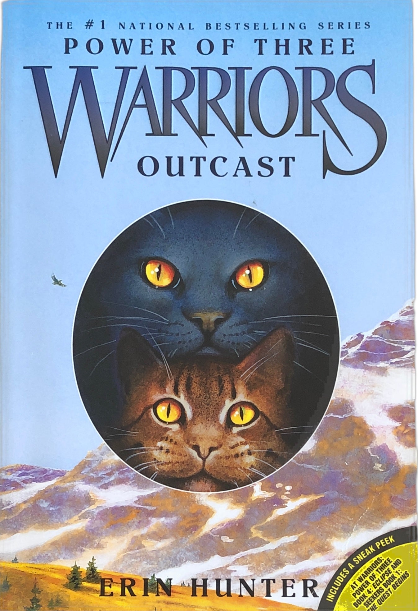 Warriors: Outcast (Power of the Three Book #3) by Erin Hunter