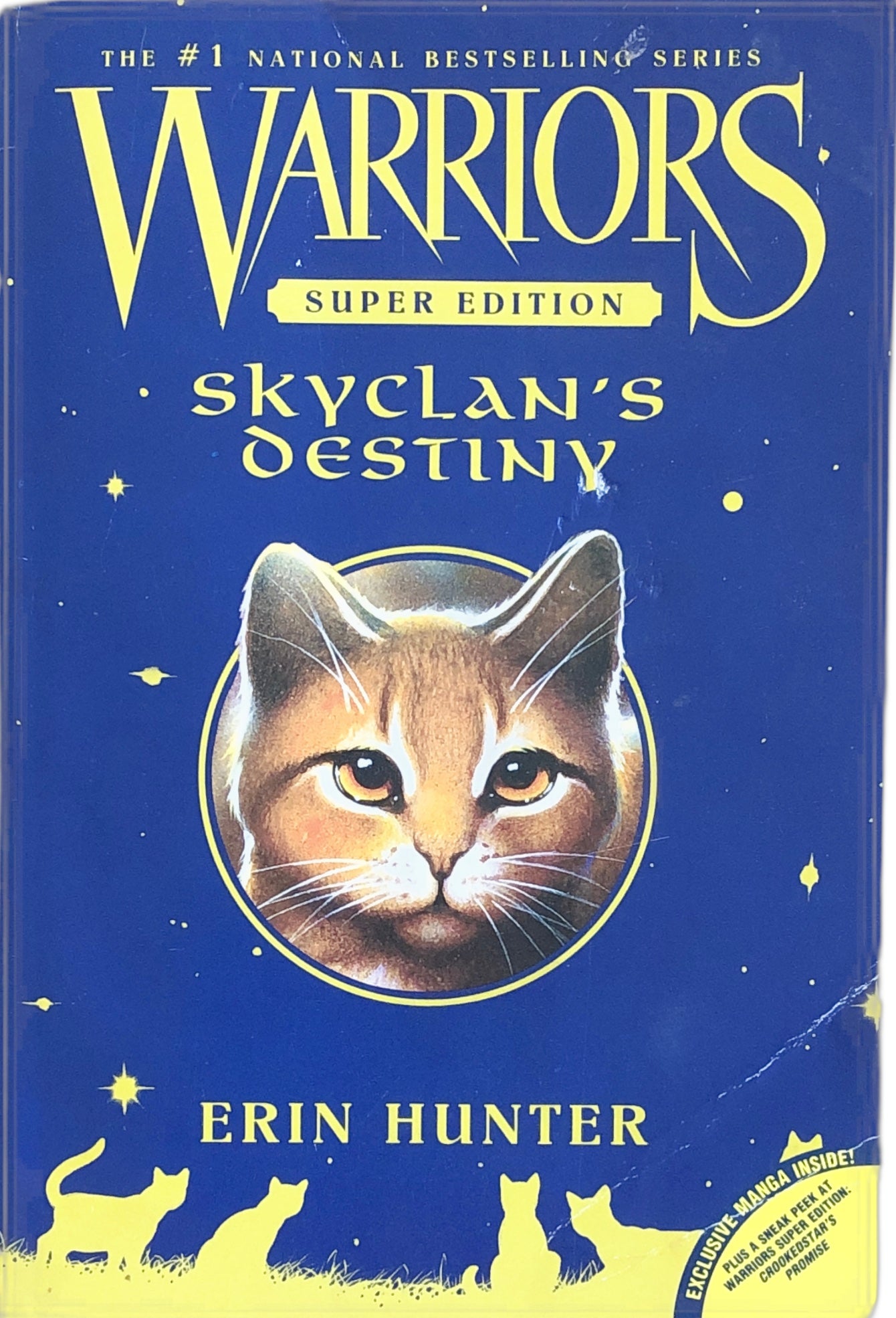 Warriors: Skyclan's Destiny (Super Edition) by Erin Hunter