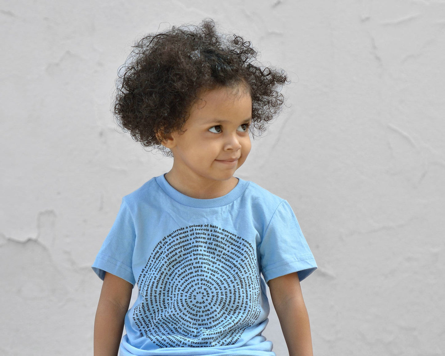 Animal Collective Group Nouns Kids Tee Shirt