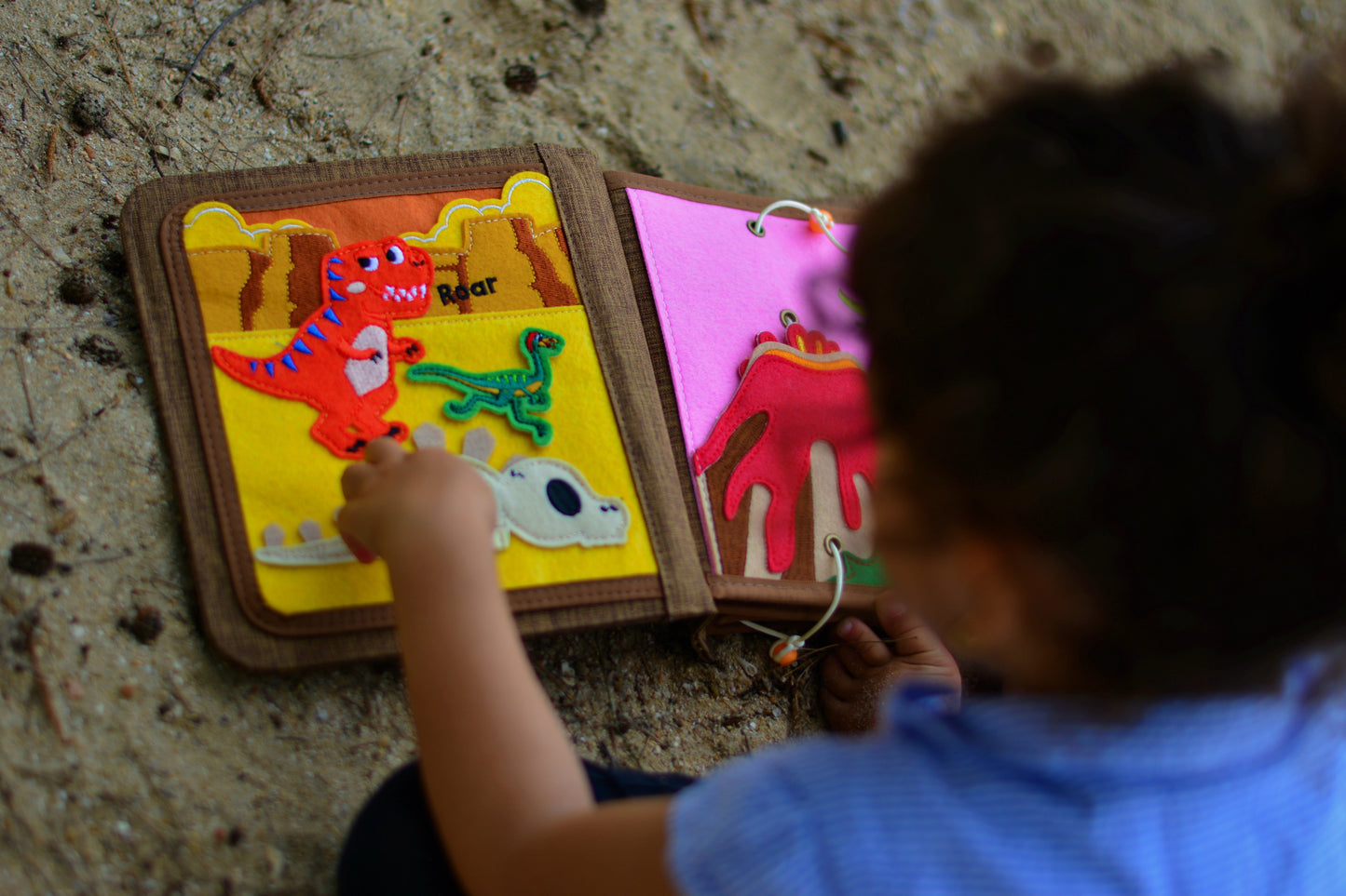 My First Book Dinosaur