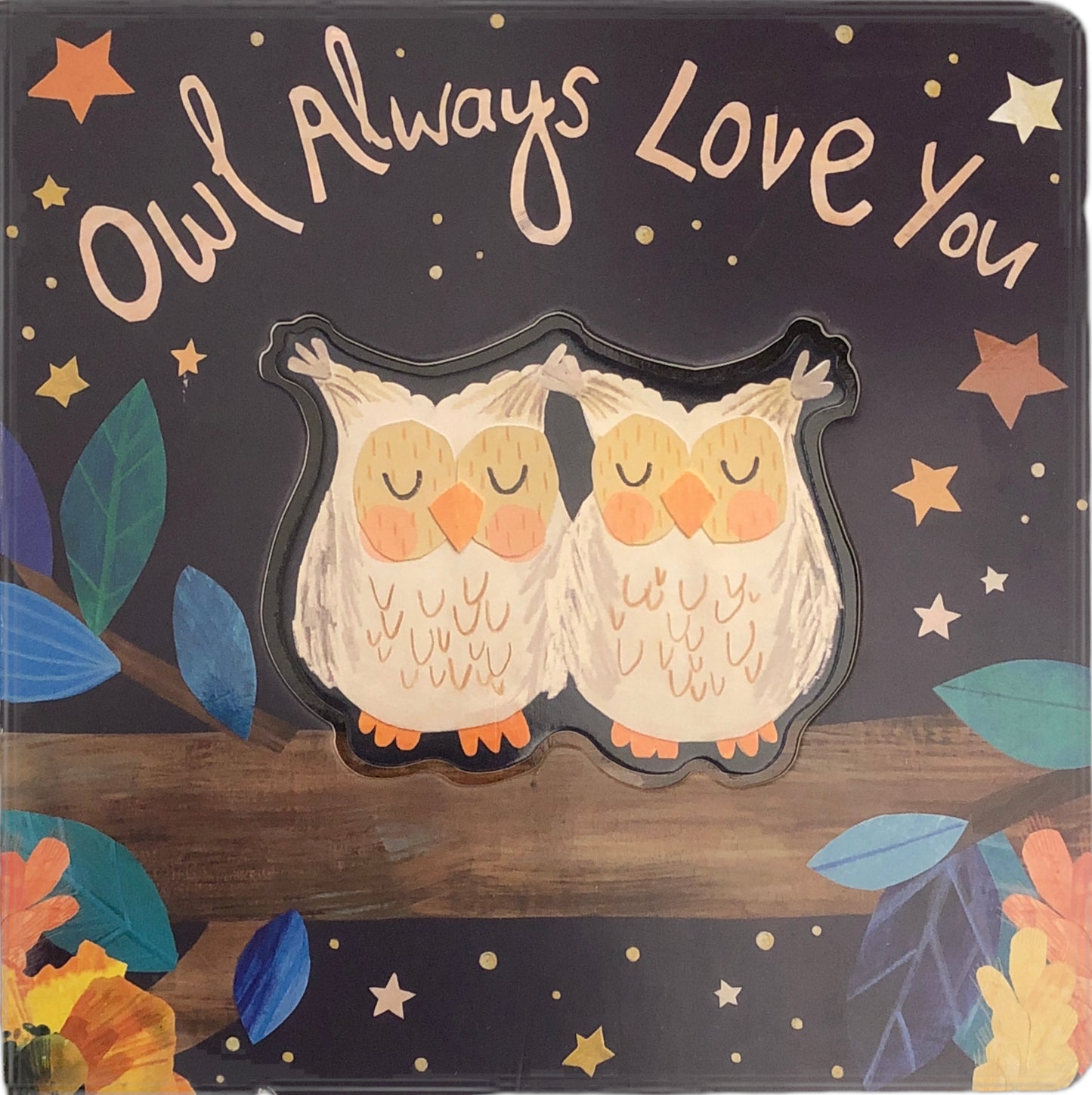 Owl Always Love You by Patricia Hegarty and Bryony Clarkson