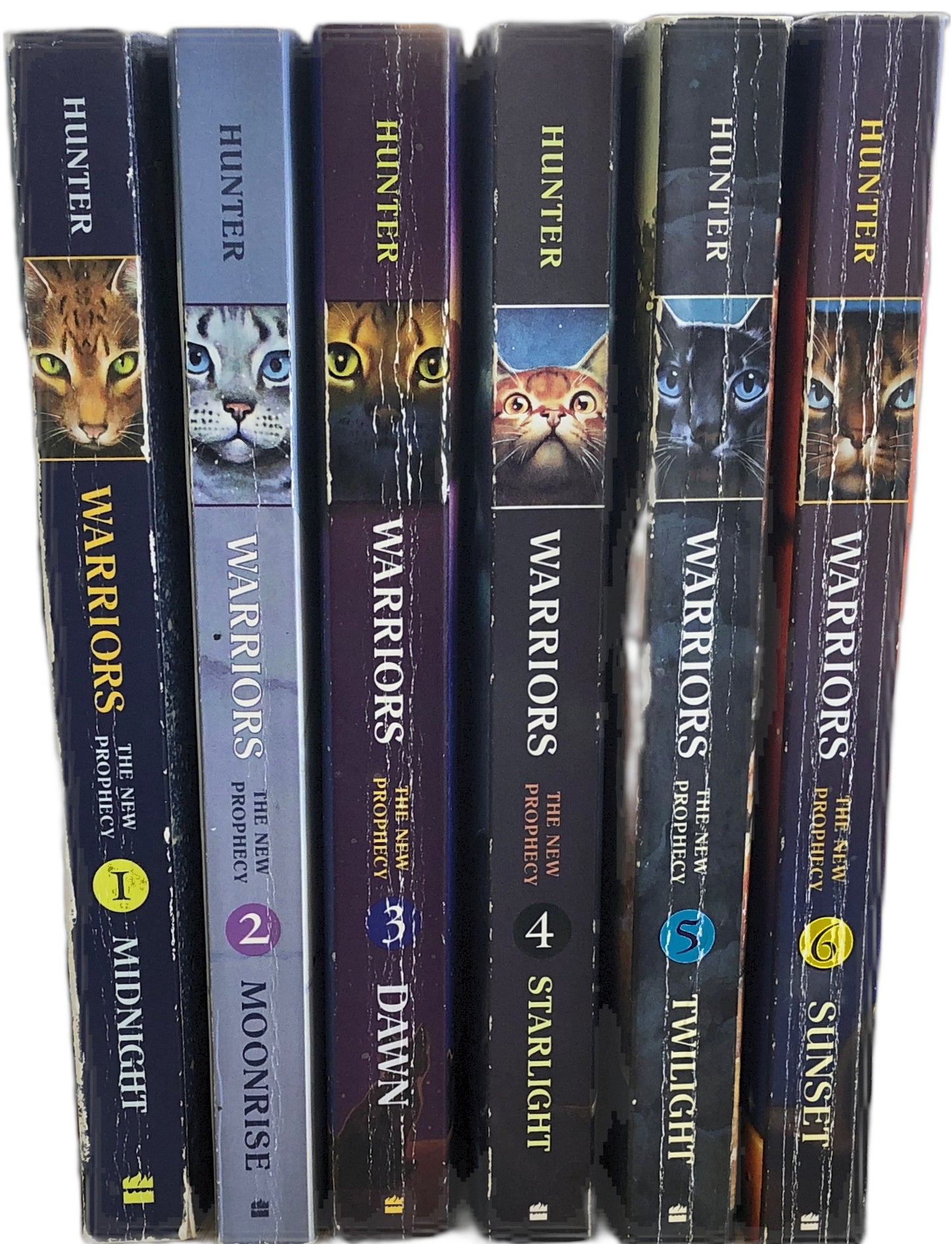 Moonrise (Warriors: The New Prophecy, #2) by Erin Hunter