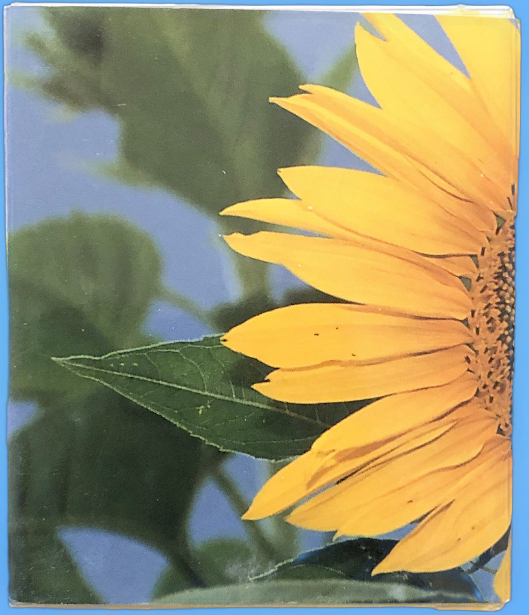 Sunflowers: A Little Treasury of Joy