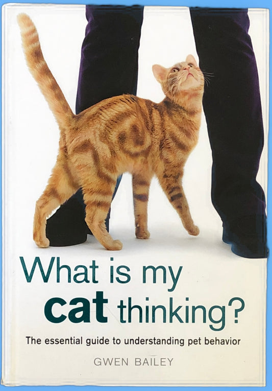 What is My Cat Thinking? The Essential Guide to Understanding Pet Behavior